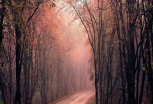 学校评价简短语句有哪些,学校评价怎么写举个例子