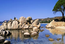 学校评价简短语句有哪些,学校评价怎么写举个例子